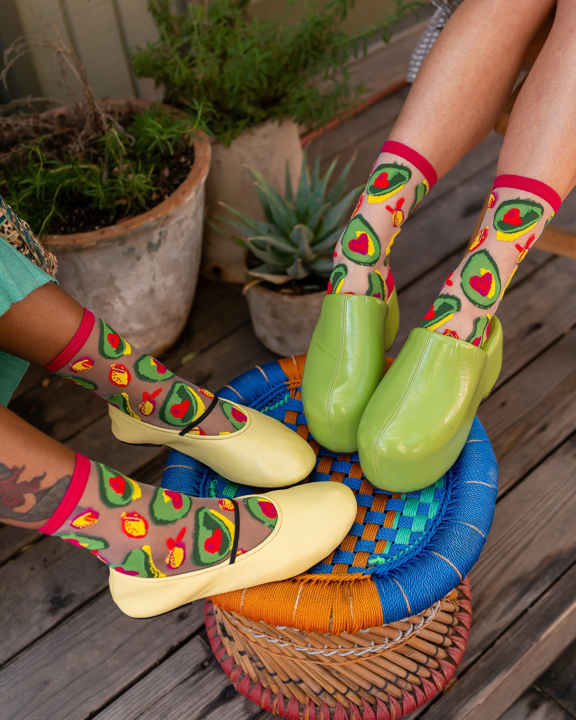Food Lovers Sheer Socks Bundle e?£¤? e???