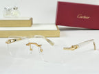 Cartier Sunglasses-CT0623O