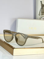 DIOR Sunglasses-CD0264S